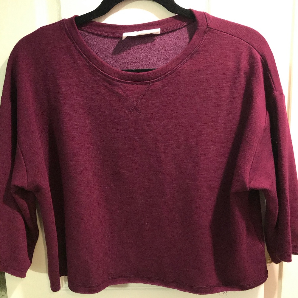 Cute Plum Crop Top
